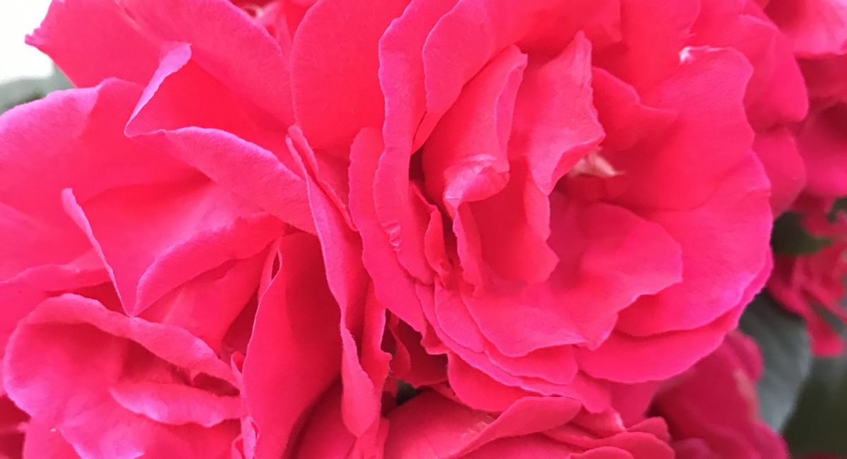 もう いいんじゃないかな